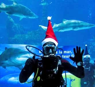Bojan Krkic Ucapkan Natal Bareng Hiu