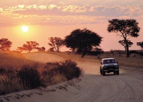 Kgalagadi Transfrontier Park