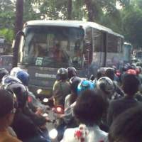  Bus TransJakarta Rute Ragunan Beroperasi Lagi