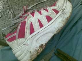 Polisi Selidiki 2 Versi Kemungkinan Pembunuhan