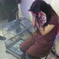 Residivis Burung Kembali Tertangkap