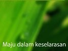 Terima Kasih Air Palyja di Rawa Lele Kalideres Sudah Mengalir 