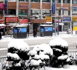 Badai Salju Landa Korea Selatan