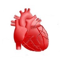 Ungkapan Mengejutkan Soal Jantung