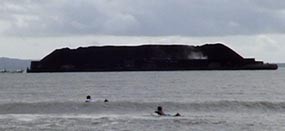 Batubara Pasokan PLTU Cilacap Terbakar di Banyuwangi