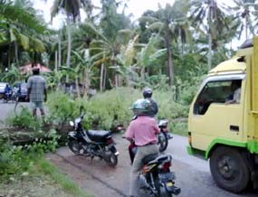 Angin Kencang Hajar Sumenep, Lalin Terganggu 