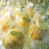 Mencicipi Kelezatan Roti Jepang Asli