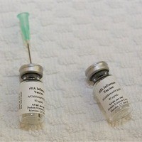 Pemberian Vaksin Lewat Kulit Lebih Efektif