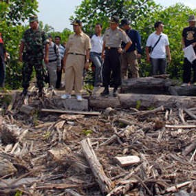 Penyelundupan 50 Ton Kayu Ilegal ke Malaysia Digagalkan  