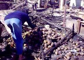 Hasil Laboratorium Soal Penyebab Kebakaran Tunggu 2-3 Minggu
