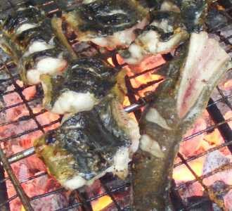 Kenikmatan Ikan Sidat Torpedo