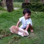 Fathir Atthariq Mustafa, 8 Bulan; Lelaki; m