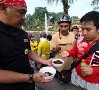 Benih & Bibit Trembesi untuk Jakarta