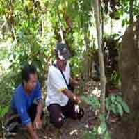 Pengujian DNA Tan Malaka Gagal