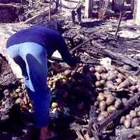 Seminggu, 41 Truk Angkut Sampah Bekas Kebakaran Pasar