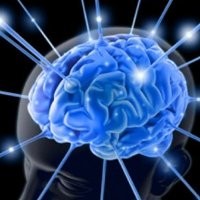 Blueberry Memperbaiki Kerusakan Otak