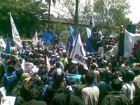 Kayu Melayang, 3 Orang Diamankan