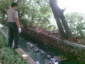 Wanita Hamil Diduga Sudah Tewas 2 Hari