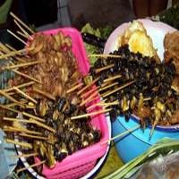 Kenyal-kenyal Gurih Sate Keong