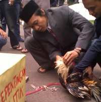 Massa KAPUR Sembelih Ayam