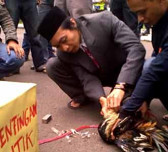 Massa KAPUR Sembelih Ayam