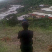 Vila Bodong Milik Pejabat Bertebaran di Taman Nasional Gunung Halimun