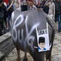  Rakyat yang Punya Hak Berkeluh Kesah, Bukan SBY