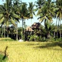 Kalahkan Bangkok, Ubud Kota Terbaik se-Asia