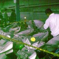 11 Motor Terbakar di Parkiran BEC