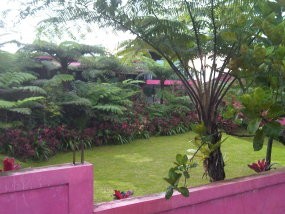 Kenapa Pejabat Pilih Vila Bodong di TN Gunung Halimun?