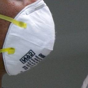 WHO: Pandemi Flu Babi Menurun