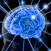  Bagian Otak yang Menyebabkan Orang Takut Kehilangan Uang