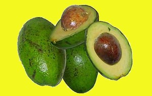 HERBAL: Alpukat 