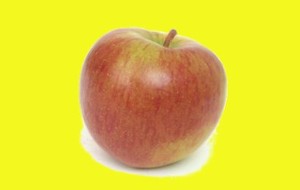 HERBAL: Apel
