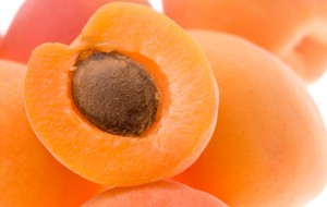 HERBAL: Apricot