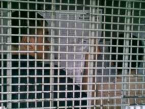 Buka Koran, 3 Orang Lindungi Sigid Di Sel