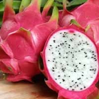 Jelang Imlek, Pembeli Buah Naga Meningkat 60 Persen