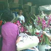 Penjualan Bunga di Wastukancana Sepi