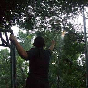 Kantor Distam Gelap Gulita
