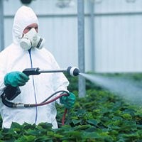 Pestisida Sebabkan Gangguan Tiroid