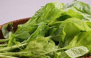 HERBAL: Bayam