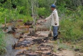 Kebun Warga Muaraenim Rusak Akibat Lumpur PLTG PT Meppo-Gen