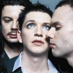 Olahraga Jelang Konser, Placebo Bawa Pelatih Khusus