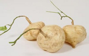 HERBAL: Bengkoang