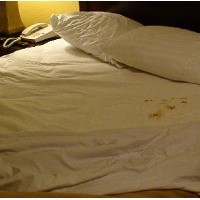 Tidur Bersama Jutaan Bakteri