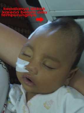 Saat Hamil, Ibu Ara Sering Makan Mi Instan & Pelihara Kucing