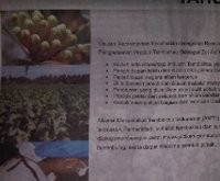 RPP Tembakau Tak Ada Kaitannya dengan Petani dan Pendapatan Negara 