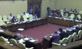 Mulai dari Galak Hingga yang Malu-malu