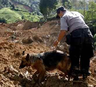 Anjing Pelacak Cari Korban Longsor