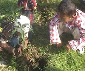 Banyaknya Bencana Alam, Murid TK dan SD Diajari Reboisasi